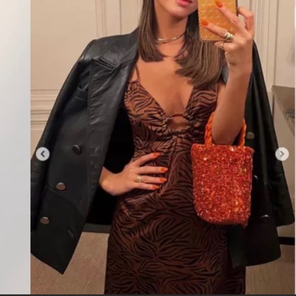 NWT ZARA NEW animal print dress - Picture 2 of 4